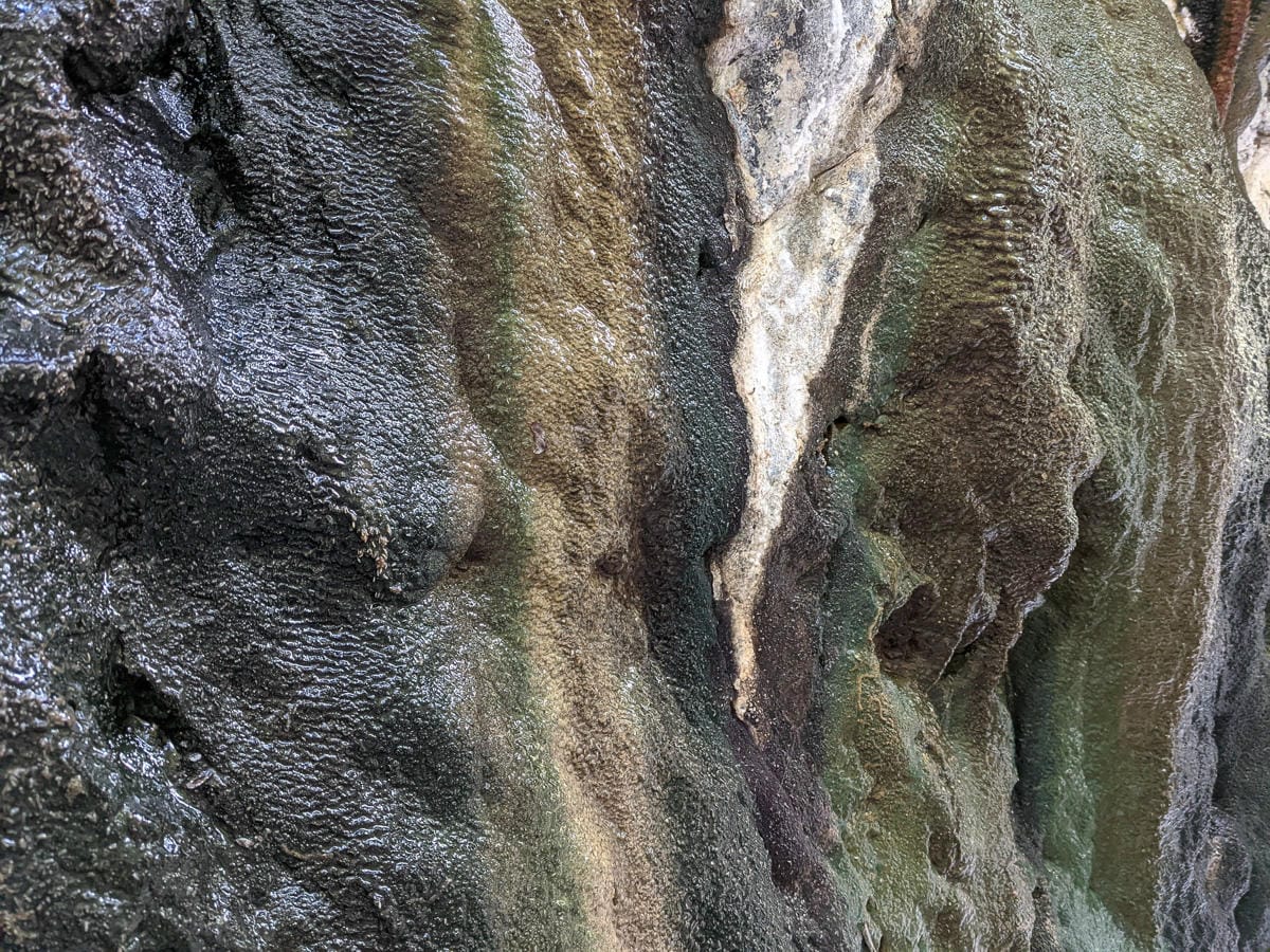 南投野溪溫泉 馬海濮溫泉大片絕美彩壁配上溫度迷人的溫泉泉池 - 第17張圖 南投野溪溫泉 馬海濮溫泉大片絕美彩壁配上溫度迷人的溫泉泉池