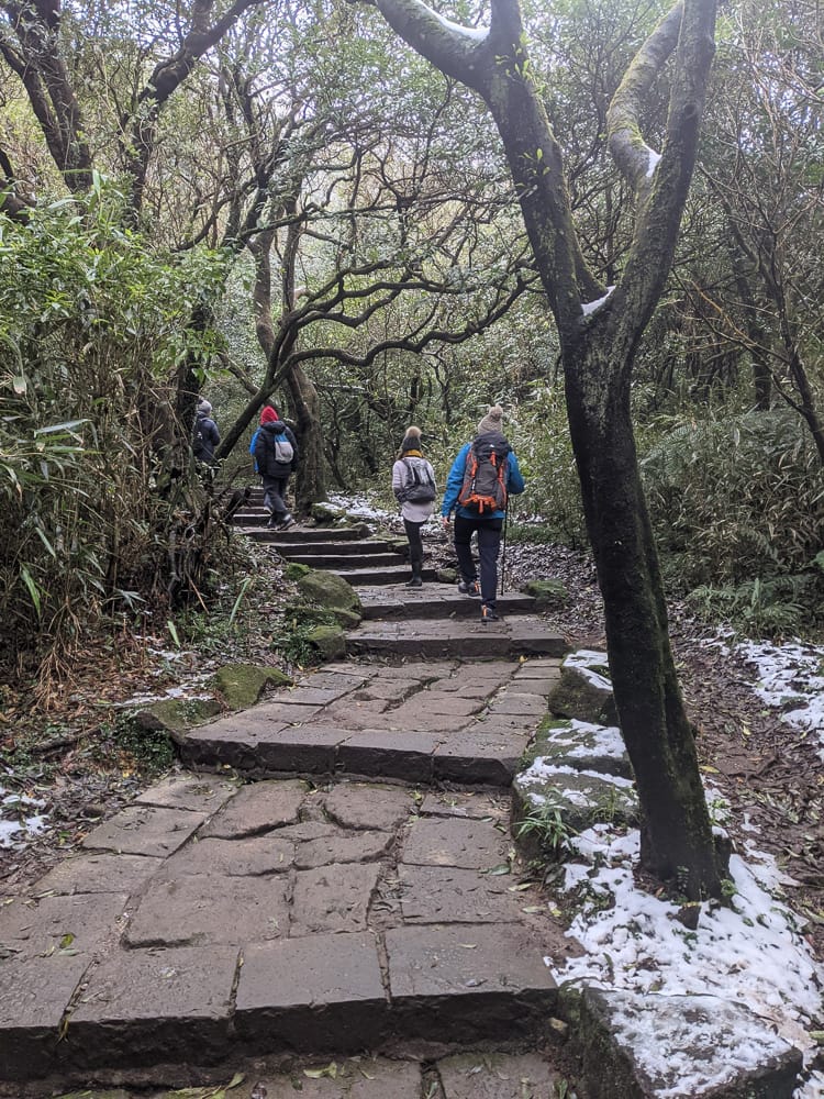 陽明山降雪，雪中登七星山注意陽明山交管 附在地推薦陽明山美食