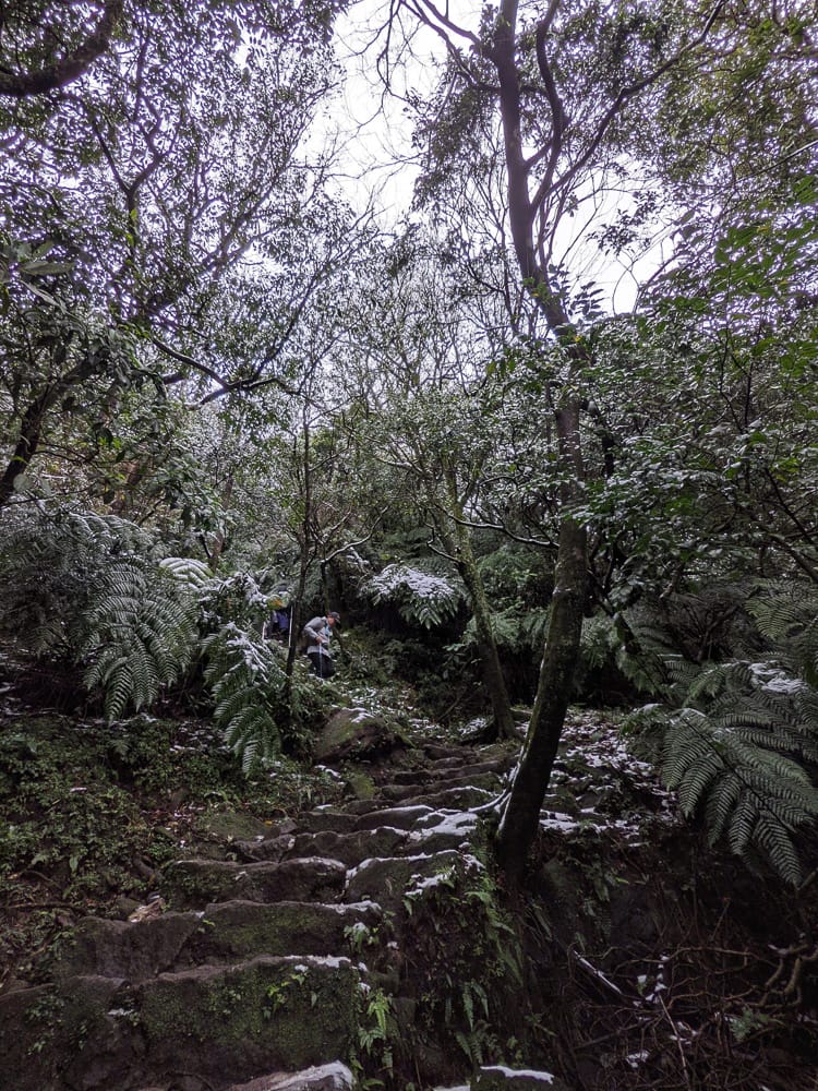 陽明山降雪，雪中登七星山注意陽明山交管 附在地推薦陽明山美食