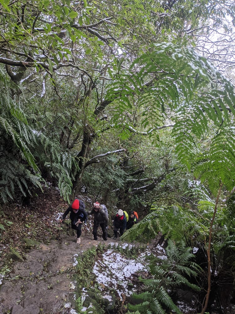 陽明山降雪，雪中登七星山注意陽明山交管 附在地推薦陽明山美食