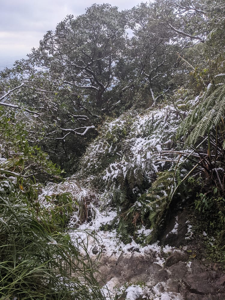 陽明山降雪，雪中登七星山注意陽明山交管 附在地推薦陽明山美食