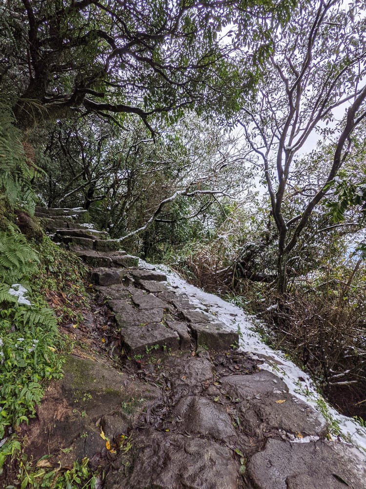陽明山降雪，雪中登七星山注意陽明山交管 附在地推薦陽明山美食