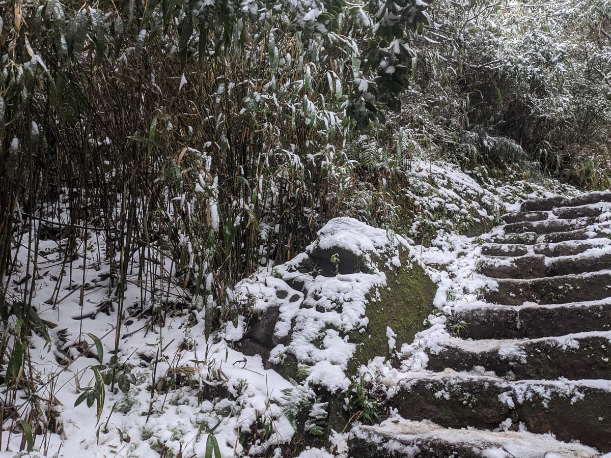 陽明山降雪，雪中登七星山注意陽明山交管 附在地推薦陽明山美食