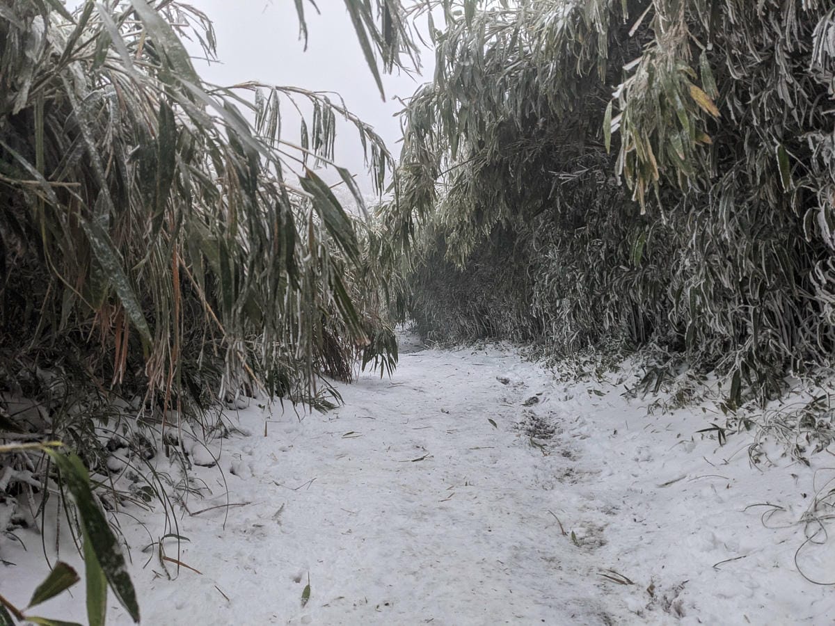 陽明山降雪，雪中登七星山注意陽明山交管 附在地推薦陽明山美食