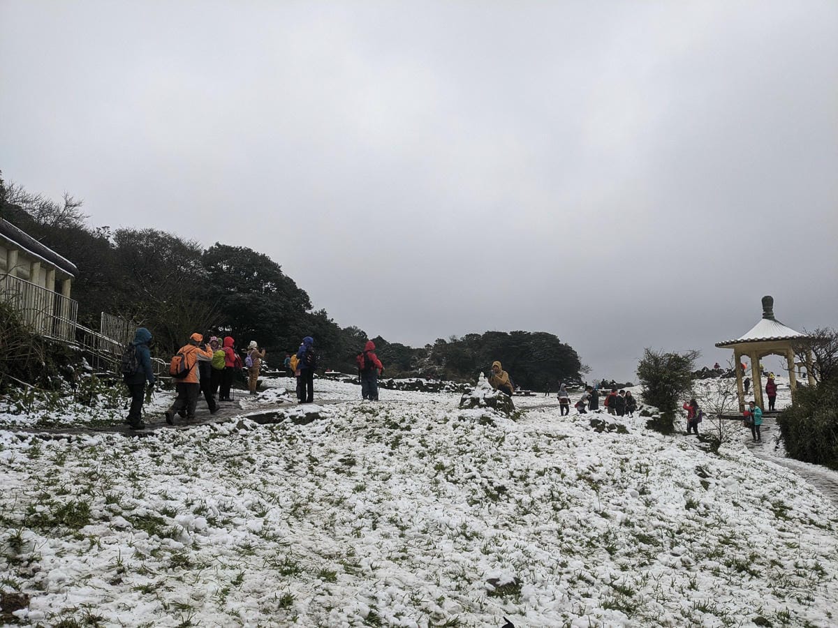 陽明山降雪，雪中登七星山注意陽明山交管 附在地推薦陽明山美食