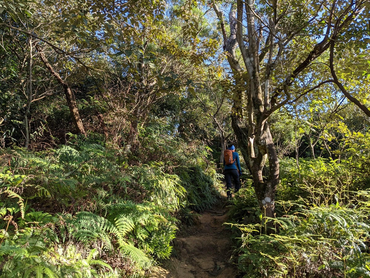 淡蘭古道南路北段 麟光到深坑 越嶺保甲路大坑外股古道古人甘苦誰知