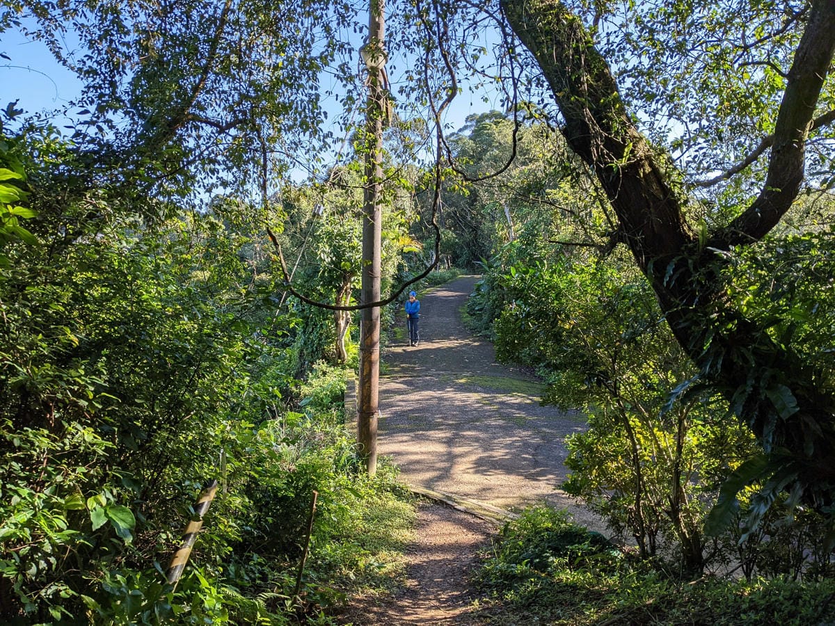 淡蘭古道南路北段 麟光到深坑 越嶺保甲路大坑外股古道古人甘苦誰知