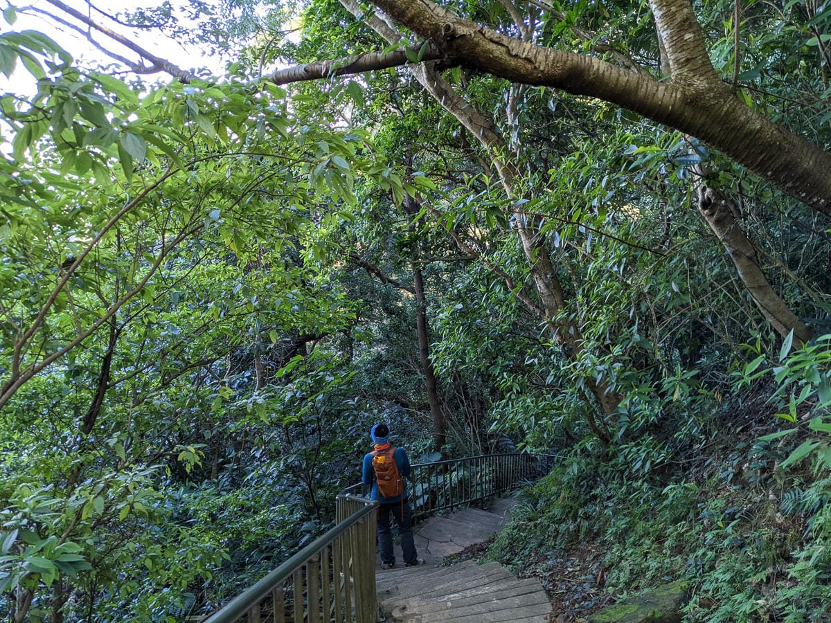 淡蘭古道南路北段 麟光到深坑 越嶺保甲路大坑外股古道古人甘苦誰知