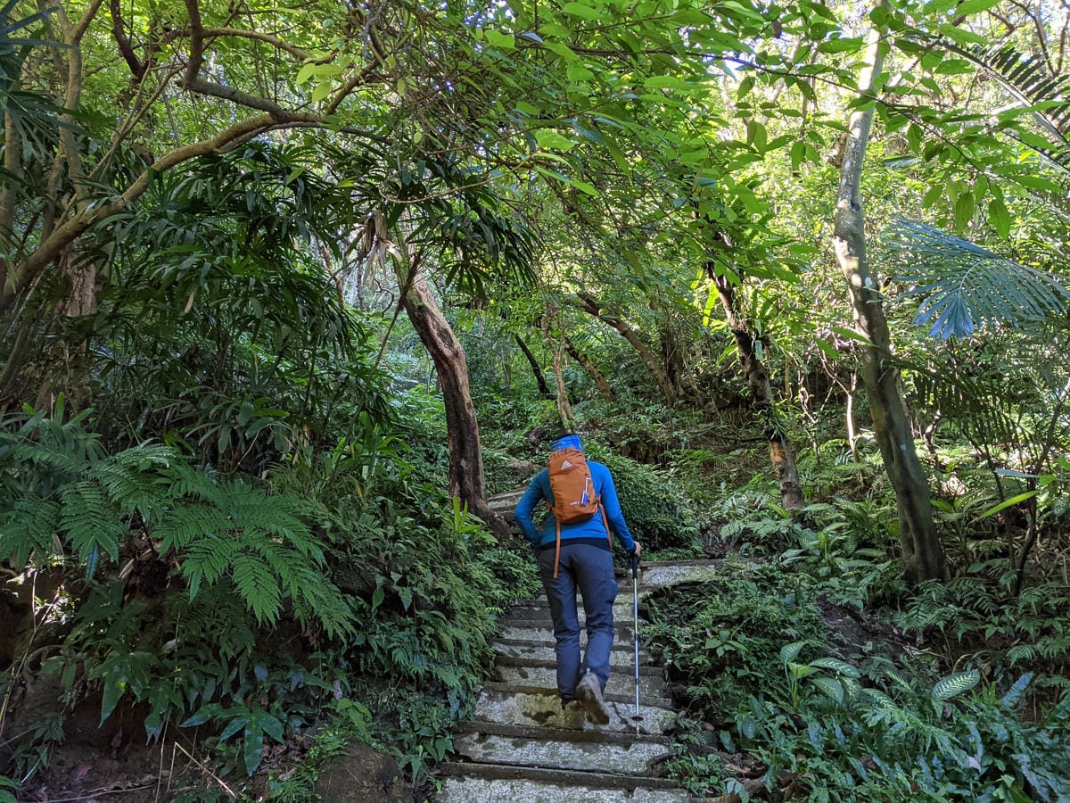 淡蘭古道南路北段 麟光到深坑 越嶺保甲路大坑外股古道古人甘苦誰知
