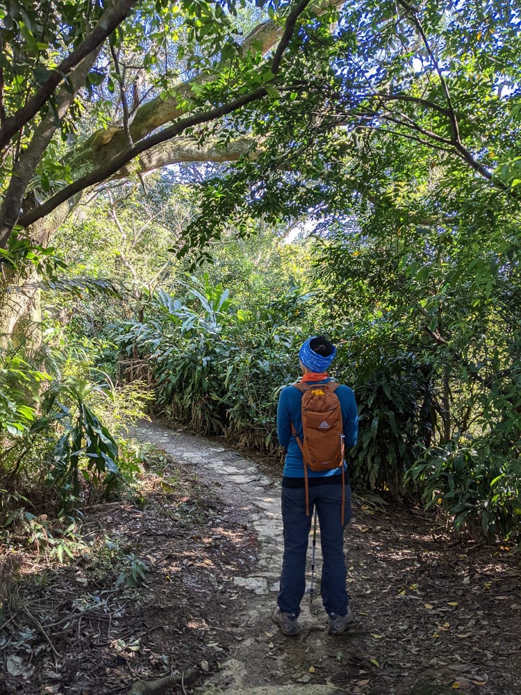 淡蘭古道南路北段 麟光到深坑 越嶺保甲路大坑外股古道古人甘苦誰知