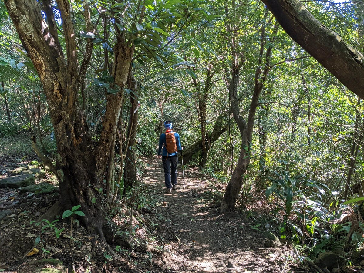 淡蘭古道南路北段 麟光到深坑 越嶺保甲路大坑外股古道古人甘苦誰知