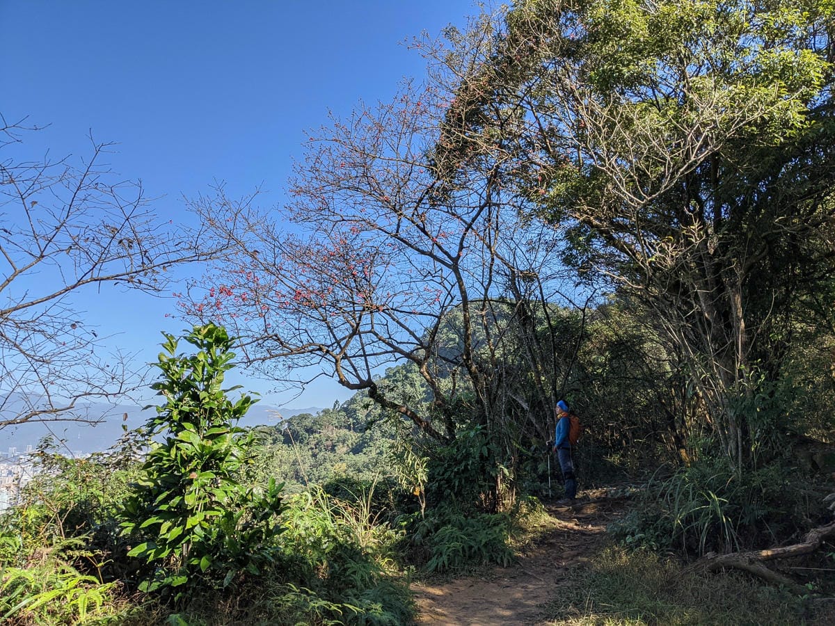 淡蘭古道南路北段 麟光到深坑 越嶺保甲路大坑外股古道古人甘苦誰知