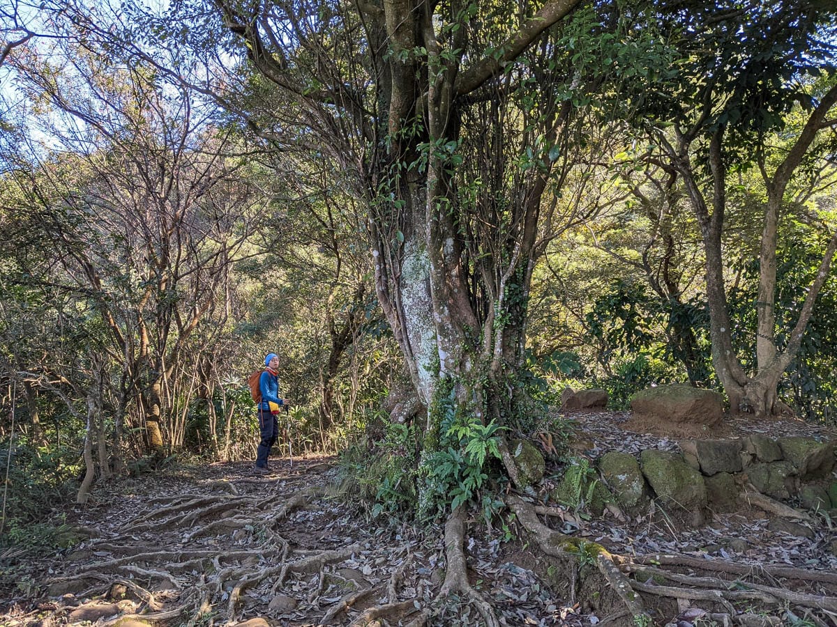 淡蘭古道南路北段 麟光到深坑 越嶺保甲路大坑外股古道古人甘苦誰知