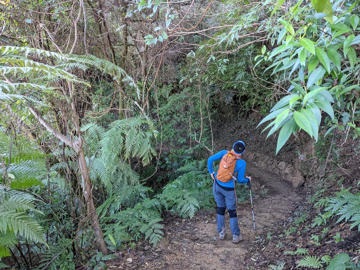 淡蘭古道南路北段 麟光到深坑 越嶺保甲路大坑外股古道古人甘苦誰知
