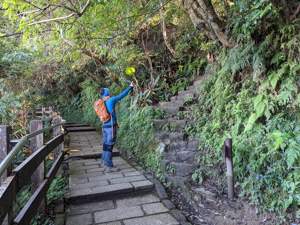 淡蘭古道南路北段 麟光到深坑 越嶺保甲路大坑外股古道古人甘苦誰知