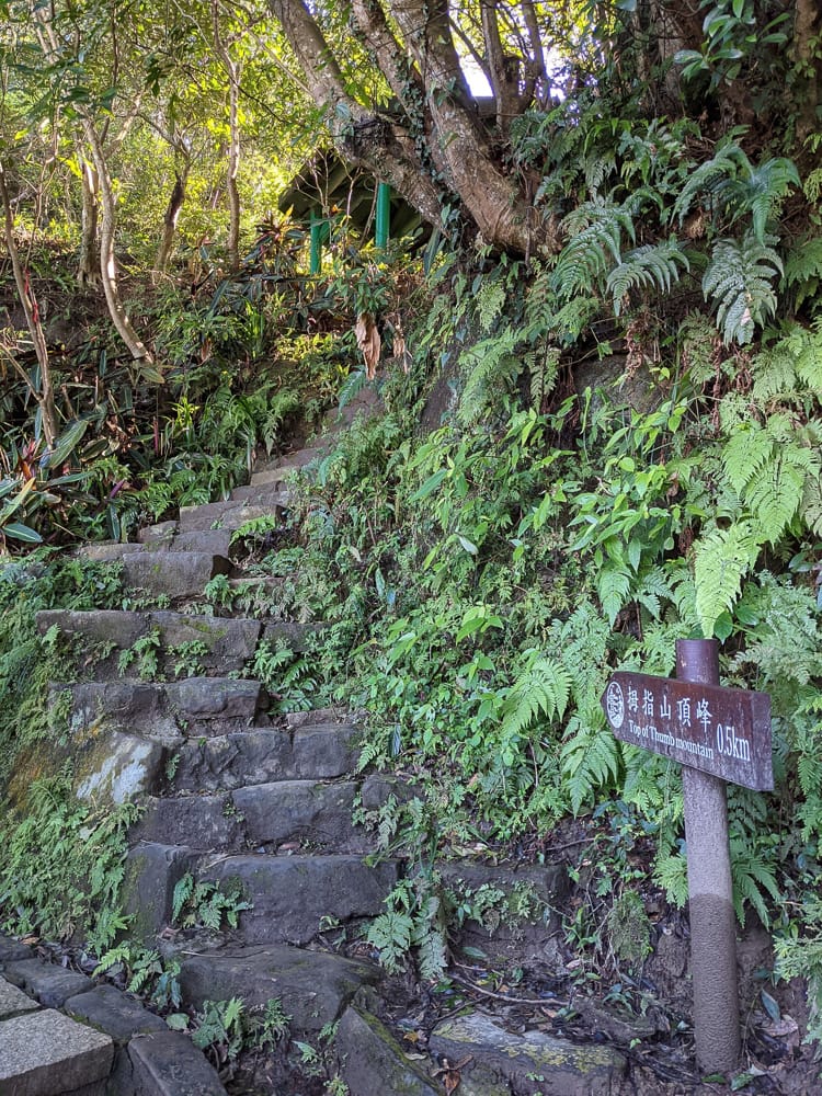 淡蘭古道南路北段 麟光到深坑 越嶺保甲路大坑外股古道古人甘苦誰知