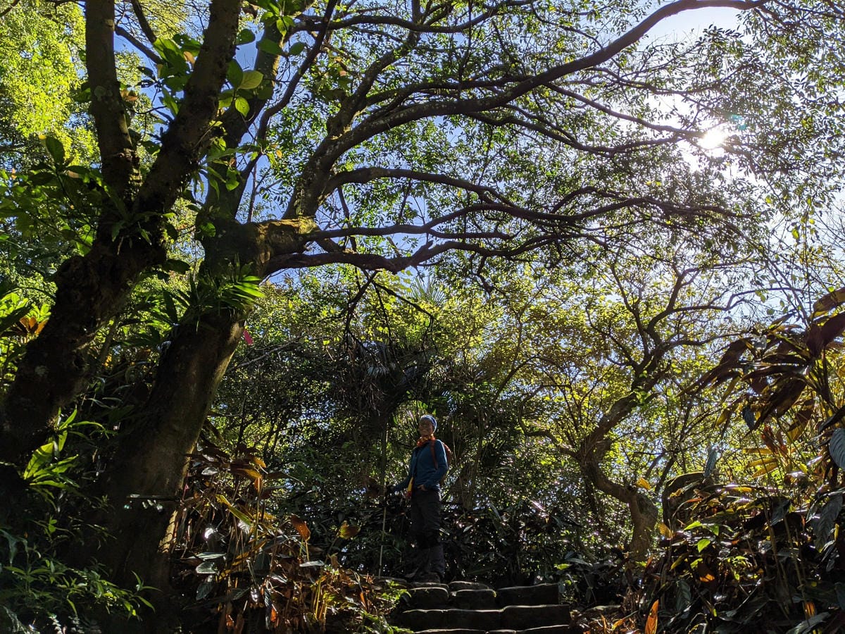 淡蘭古道南路北段 麟光到深坑 越嶺保甲路大坑外股古道古人甘苦誰知