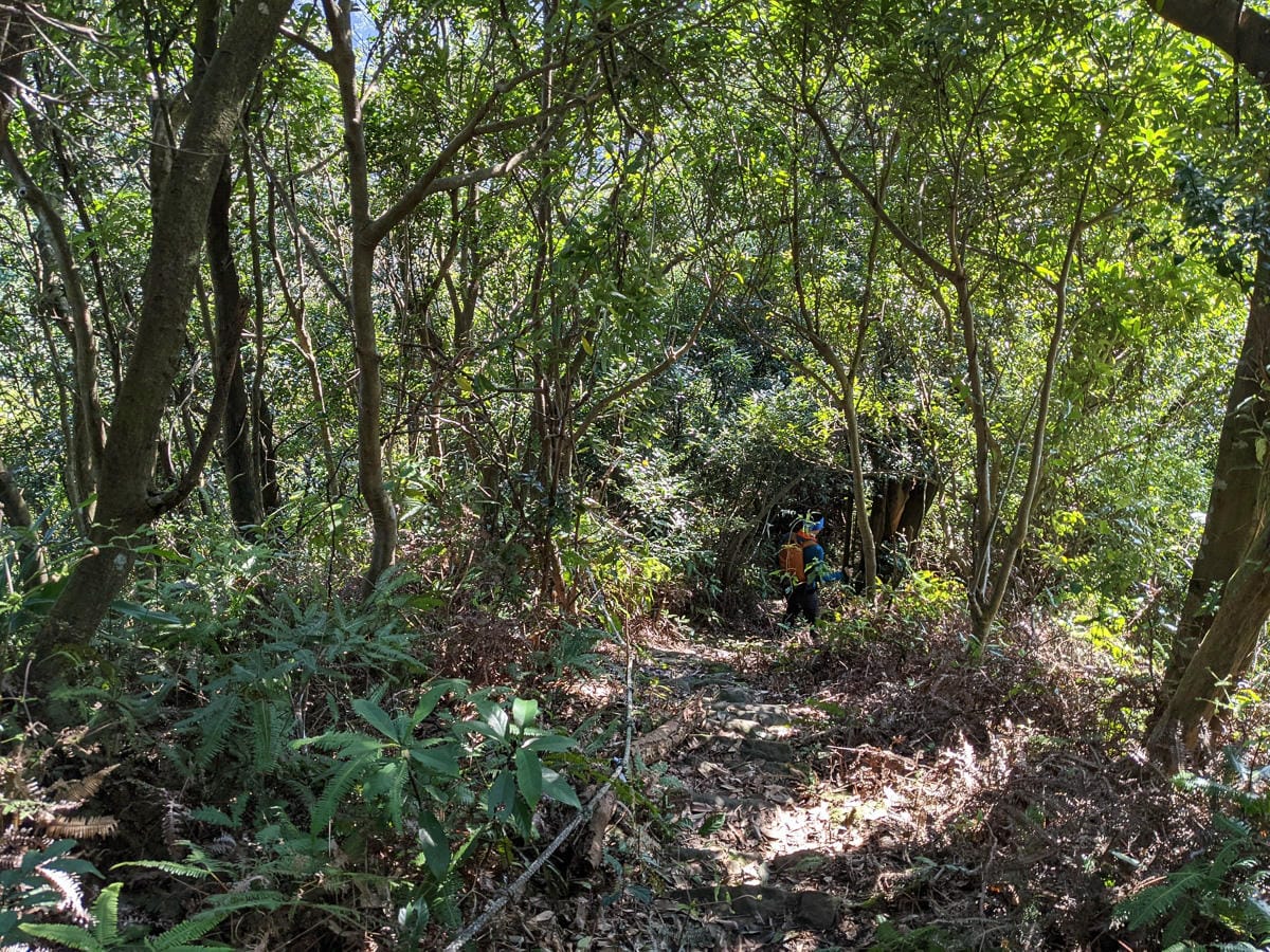 淡蘭古道南路北段 麟光到深坑 越嶺保甲路大坑外股古道古人甘苦誰知