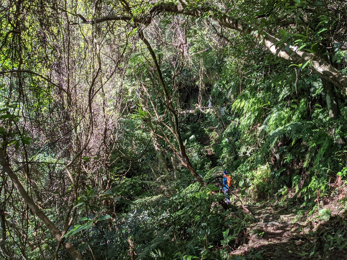 淡蘭古道南路北段 麟光到深坑 越嶺保甲路大坑外股古道古人甘苦誰知