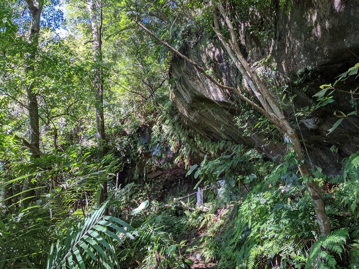 淡蘭古道南路北段 麟光到深坑 越嶺保甲路大坑外股古道古人甘苦誰知