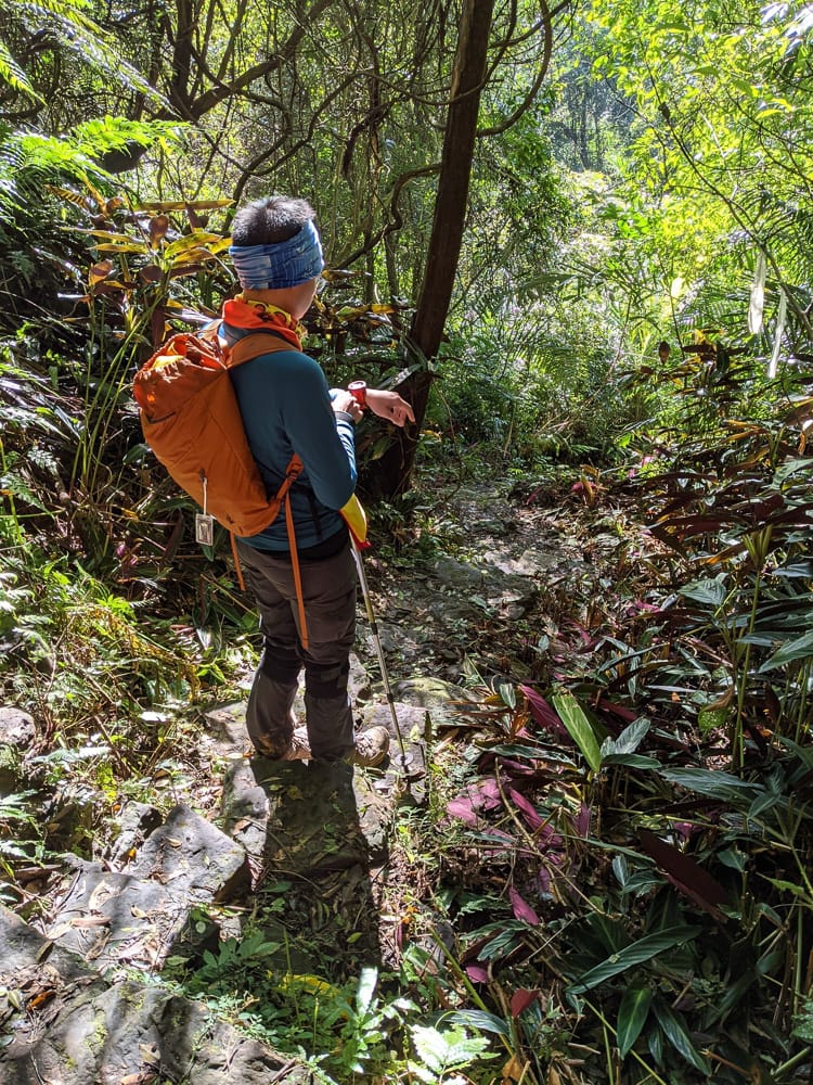 淡蘭古道南路北段 麟光到深坑 越嶺保甲路大坑外股古道古人甘苦誰知