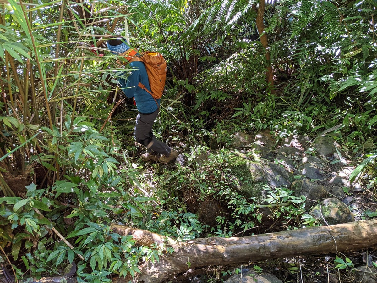 淡蘭古道南路北段 麟光到深坑 越嶺保甲路大坑外股古道古人甘苦誰知