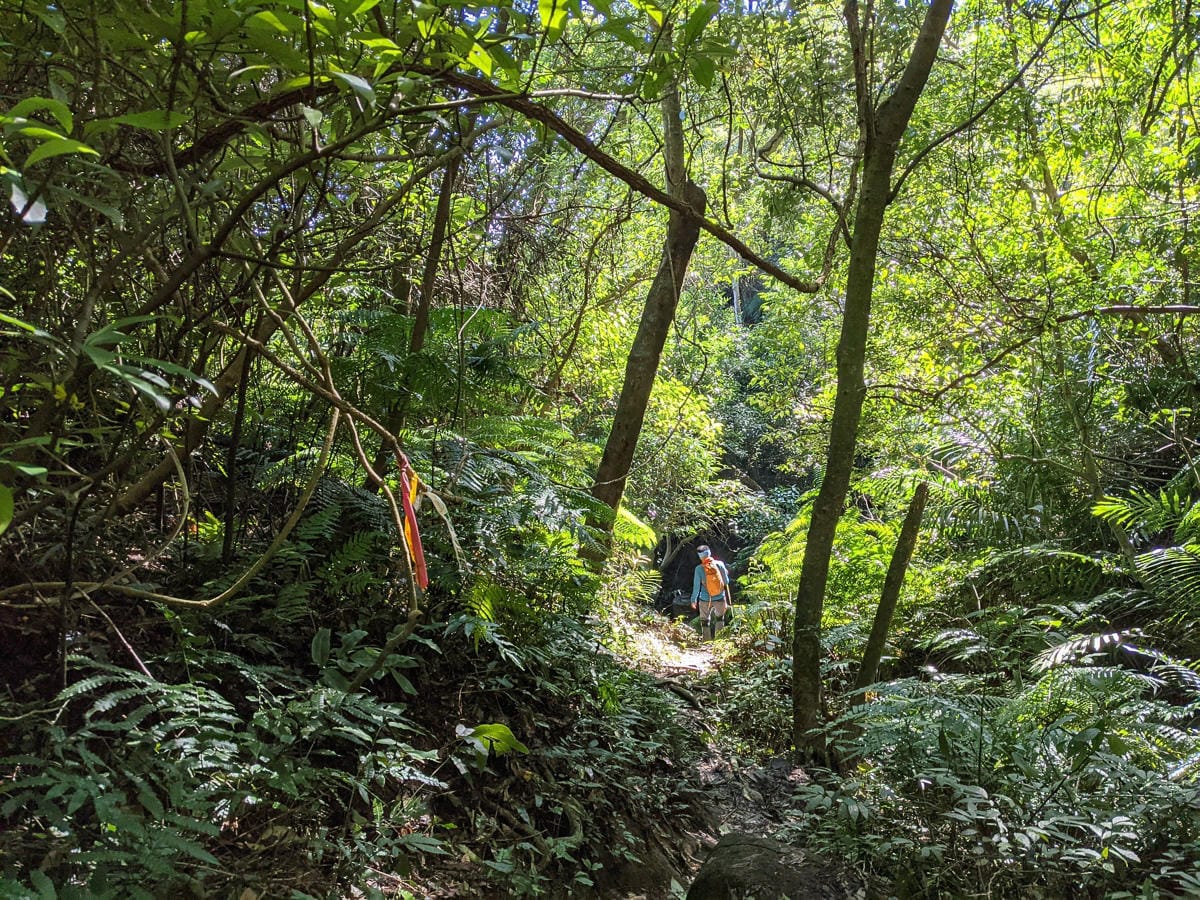淡蘭古道南路北段 麟光到深坑 越嶺保甲路大坑外股古道古人甘苦誰知