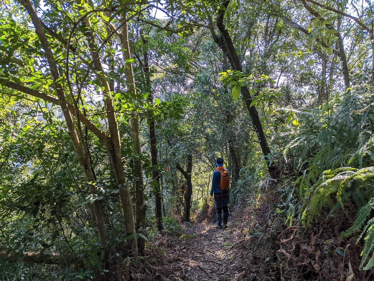淡蘭古道南路北段 麟光到深坑 越嶺保甲路大坑外股古道古人甘苦誰知
