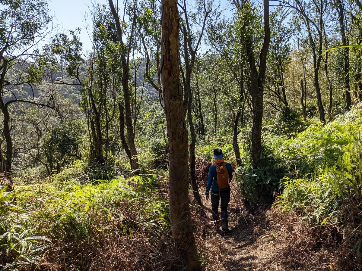 淡蘭古道南路北段 麟光到深坑 越嶺保甲路大坑外股古道古人甘苦誰知