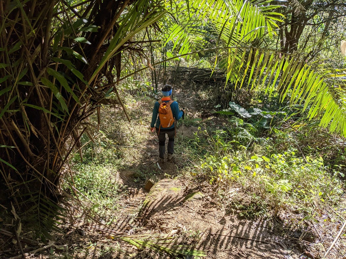 淡蘭古道南路北段 麟光到深坑 越嶺保甲路大坑外股古道古人甘苦誰知