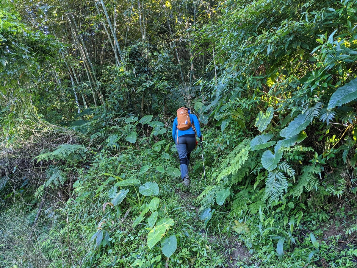 淡蘭古道南路北段 麟光到深坑 越嶺保甲路大坑外股古道古人甘苦誰知
