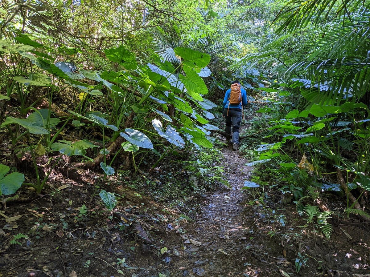 淡蘭古道南路北段 麟光到深坑 越嶺保甲路大坑外股古道古人甘苦誰知