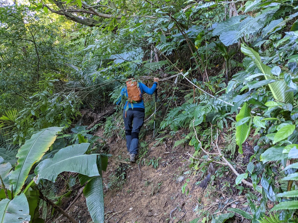 淡蘭古道南路北段 麟光到深坑 越嶺保甲路大坑外股古道古人甘苦誰知