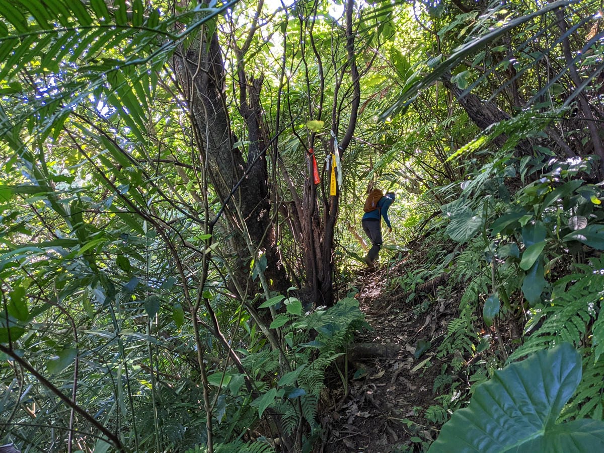 淡蘭古道南路北段 麟光到深坑 越嶺保甲路大坑外股古道古人甘苦誰知