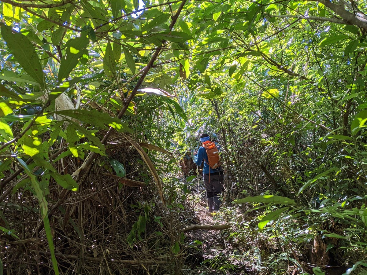 淡蘭古道南路北段 麟光到深坑 越嶺保甲路大坑外股古道古人甘苦誰知
