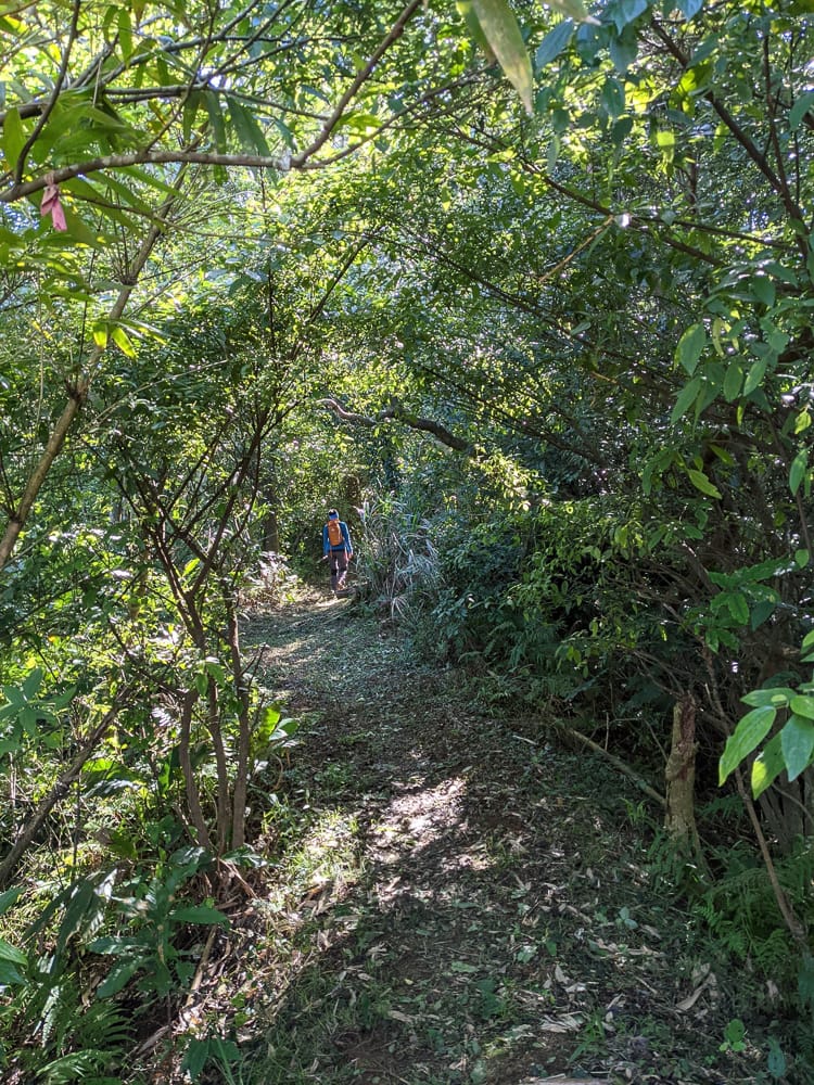 淡蘭古道南路北段 麟光到深坑 越嶺保甲路大坑外股古道古人甘苦誰知