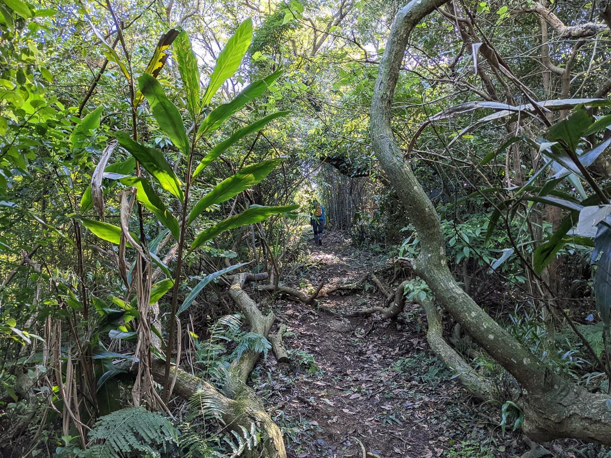 淡蘭古道南路北段 麟光到深坑 越嶺保甲路大坑外股古道古人甘苦誰知