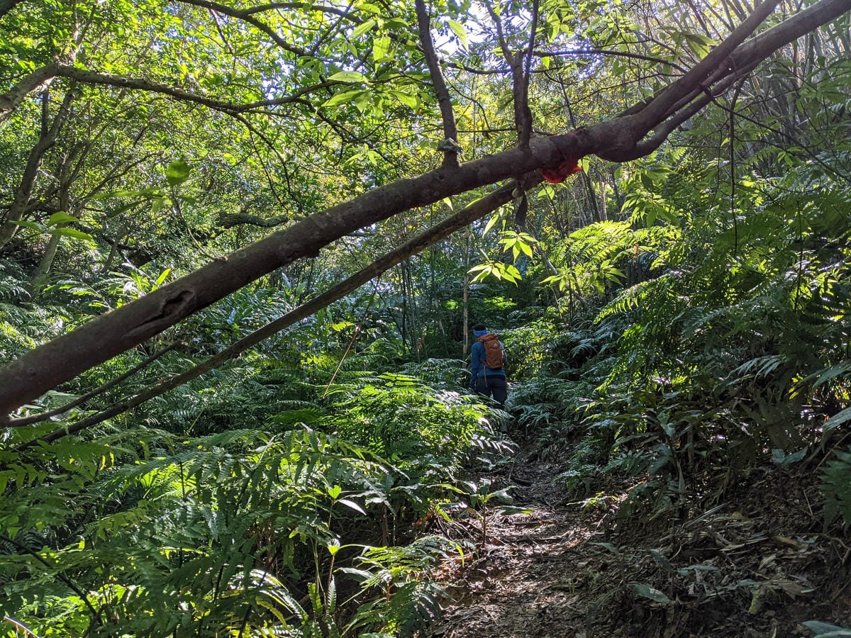 淡蘭古道南路北段 麟光到深坑 越嶺保甲路大坑外股古道古人甘苦誰知