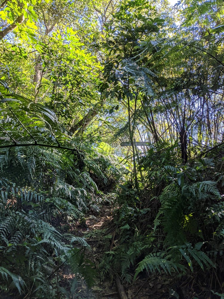淡蘭古道南路北段 麟光到深坑 越嶺保甲路大坑外股古道古人甘苦誰知