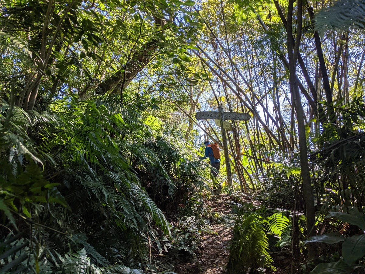 淡蘭古道南路北段 麟光到深坑 越嶺保甲路大坑外股古道古人甘苦誰知