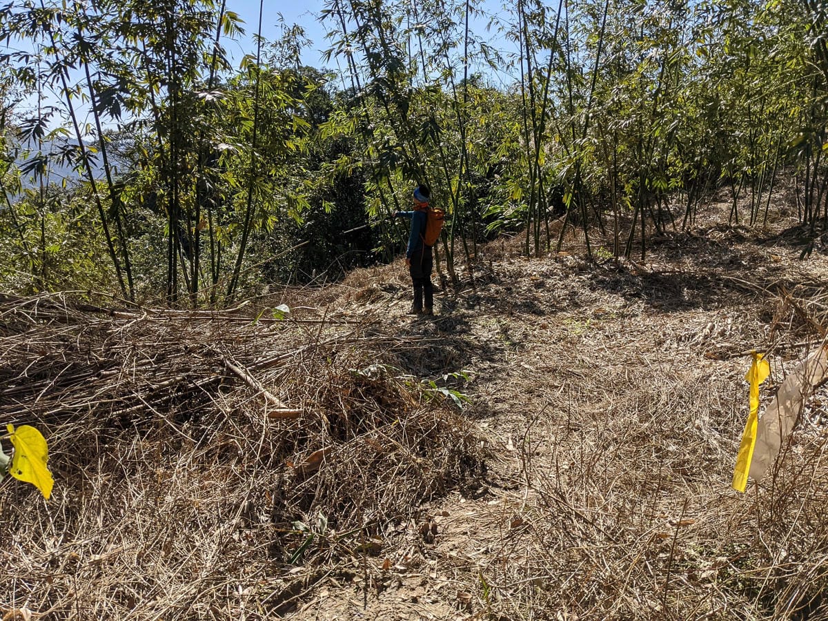 淡蘭古道南路北段 麟光到深坑 越嶺保甲路大坑外股古道古人甘苦誰知