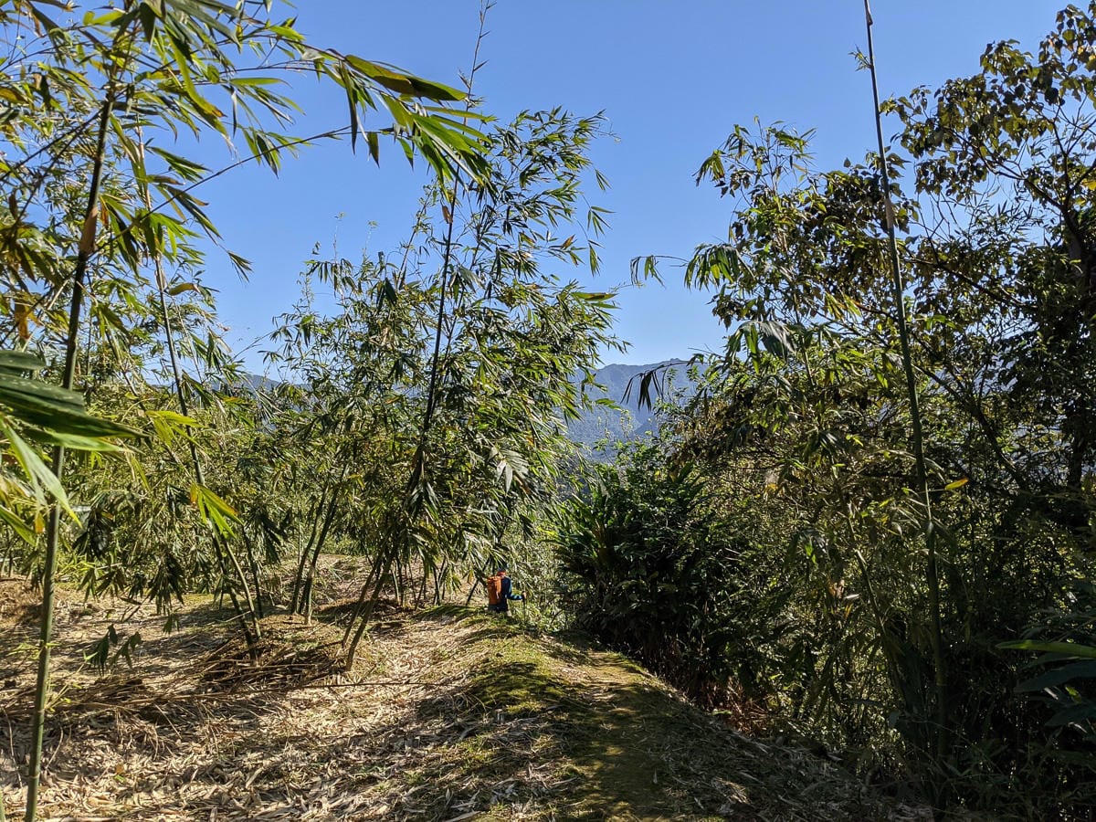 淡蘭古道南路北段 麟光到深坑 越嶺保甲路大坑外股古道古人甘苦誰知