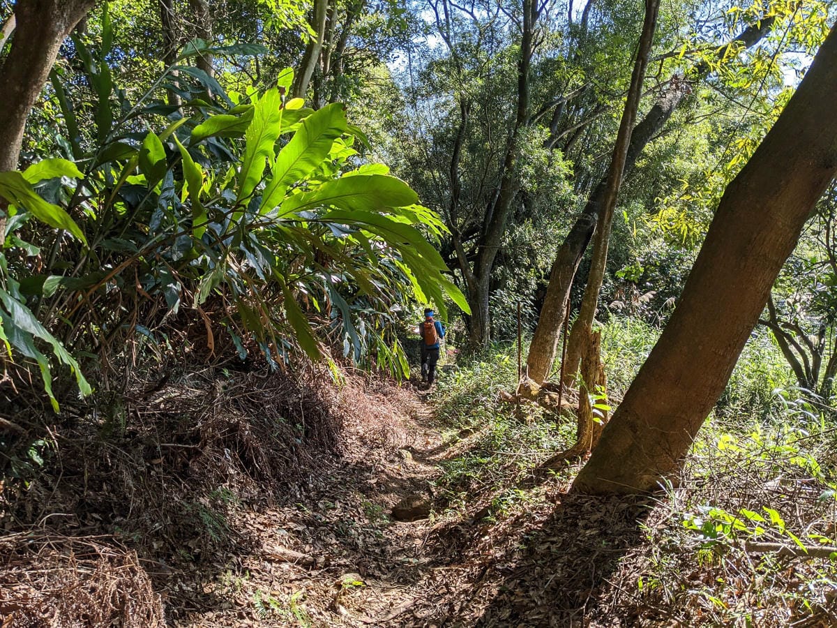 淡蘭古道南路北段 麟光到深坑 越嶺保甲路大坑外股古道古人甘苦誰知