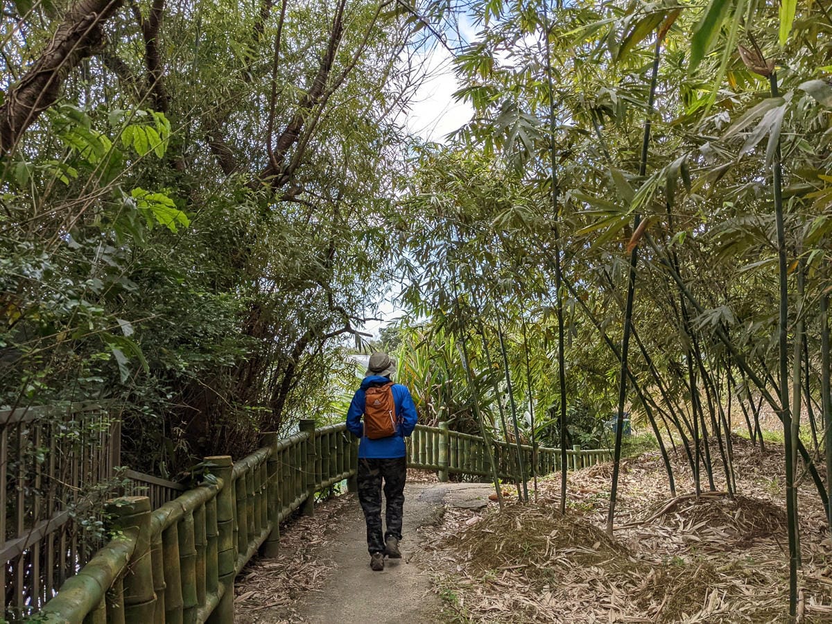 淡蘭古道南路北段 地圖沒有的福德坑大坑外股古道通往深坑
