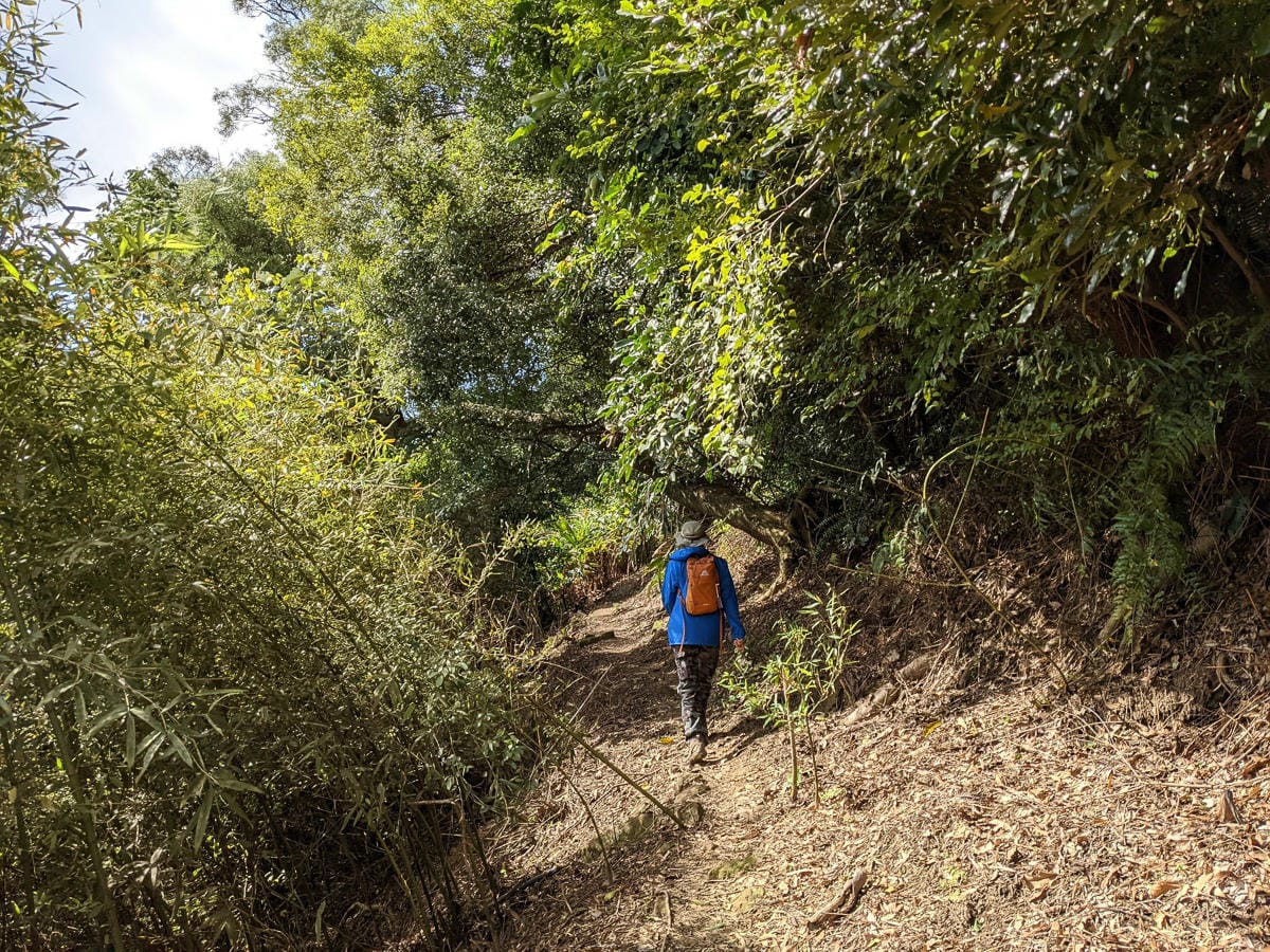 淡蘭古道南路北段 地圖沒有的福德坑大坑外股古道通往深坑