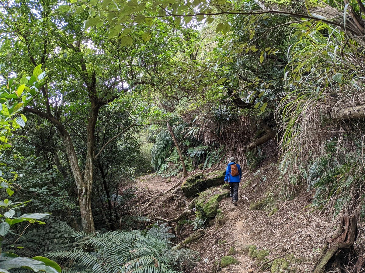 淡蘭古道南路北段 地圖沒有的福德坑大坑外股古道通往深坑
