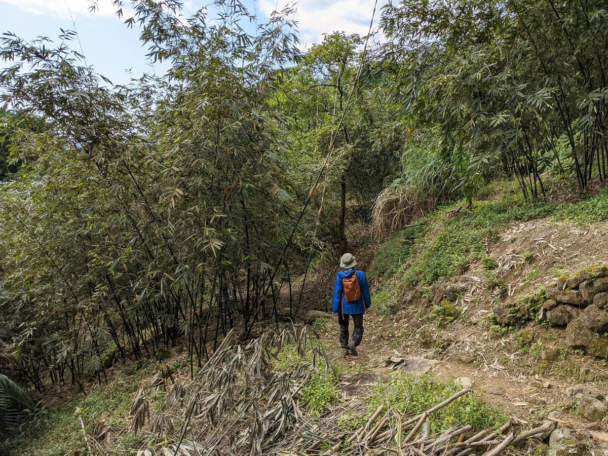 淡蘭古道南路北段 地圖沒有的福德坑大坑外股古道通往深坑