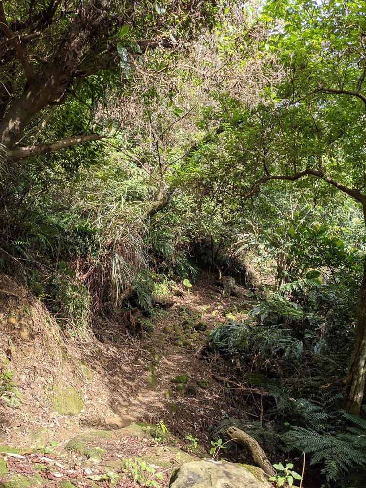 淡蘭古道南路北段 地圖沒有的福德坑大坑外股古道通往深坑
