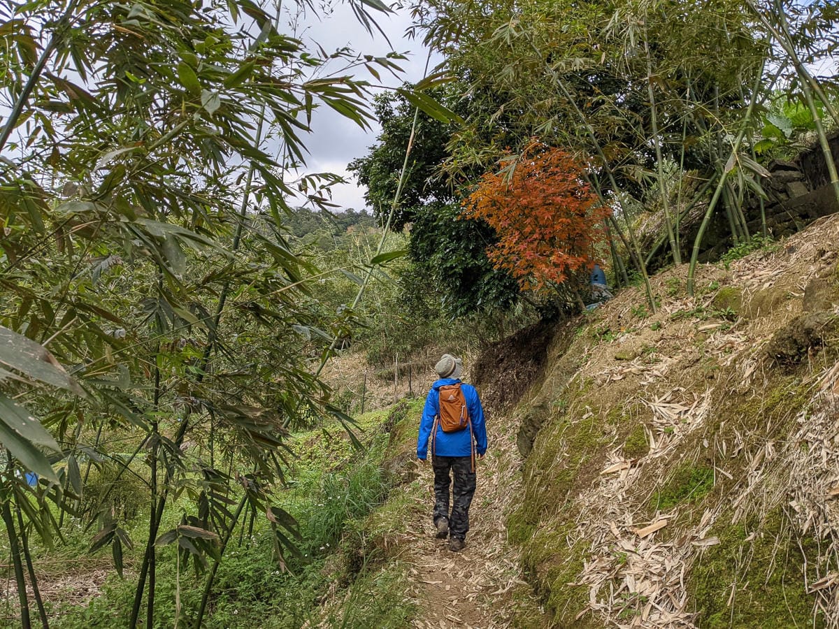 淡蘭古道南路北段 地圖沒有的福德坑大坑外股古道通往深坑