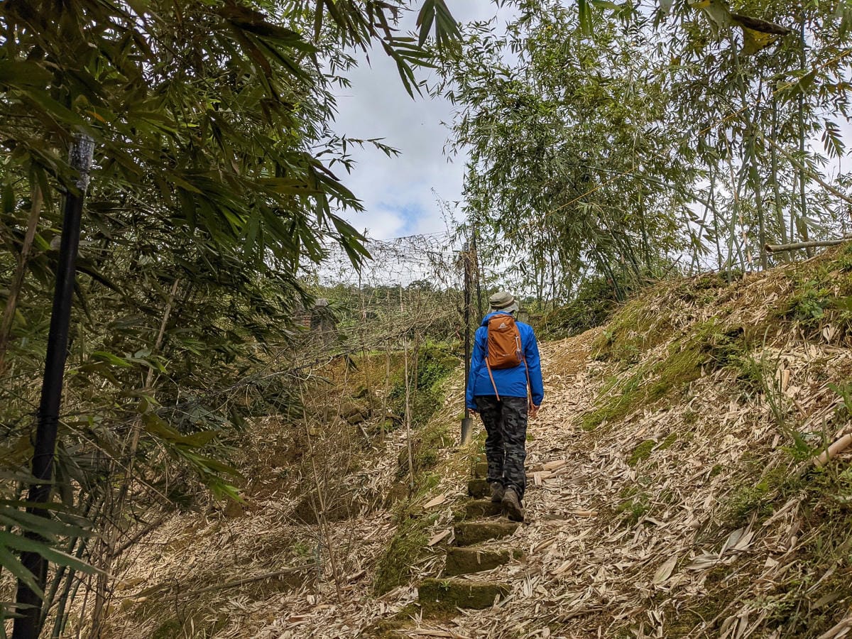 淡蘭古道南路北段 地圖沒有的福德坑大坑外股古道通往深坑